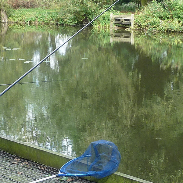 Willow Lakes and Fields Fishery in Warwickshire