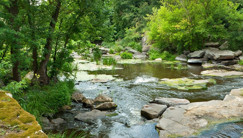 State of our rivers a ‘National Scandal’ says Angling Trust