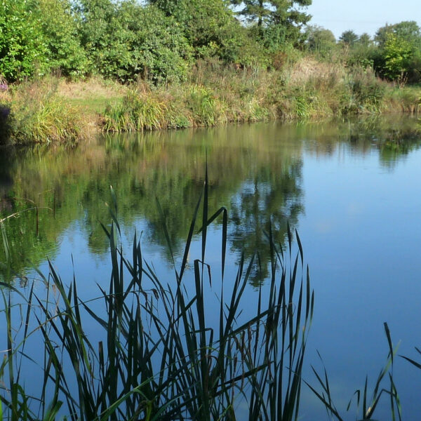 Canaan Farm Fishery Ashby Parva Leicestershire