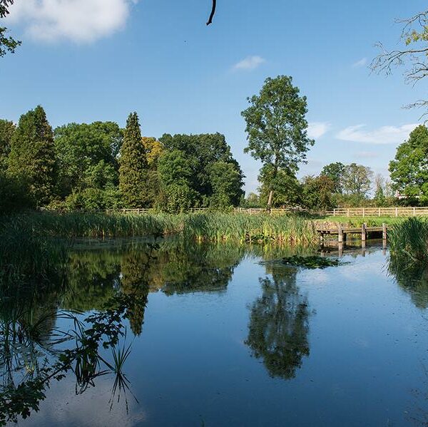 Fishing lake and house in Pershore