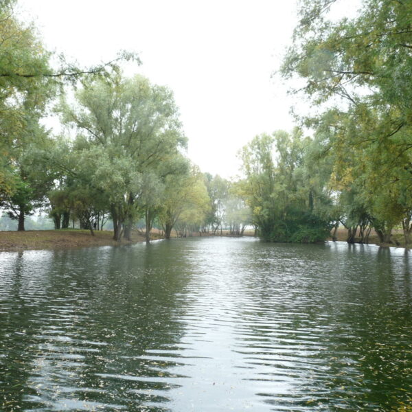 Blueberry Fields exclusive carp fishery near Ledbury in Herefordshire