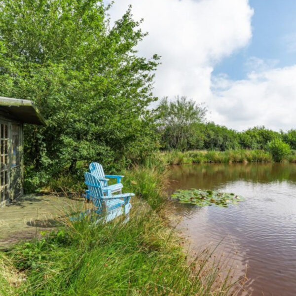 Fishing lake for sale at Lower Hele, Bradworthy, Holsworthy, Devon