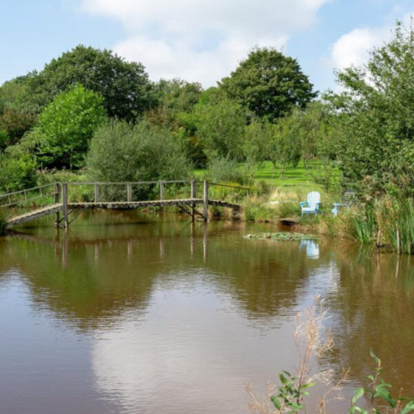 Fishing lake for sale at Lower Hele, Bradworthy, Holsworthy, Devon