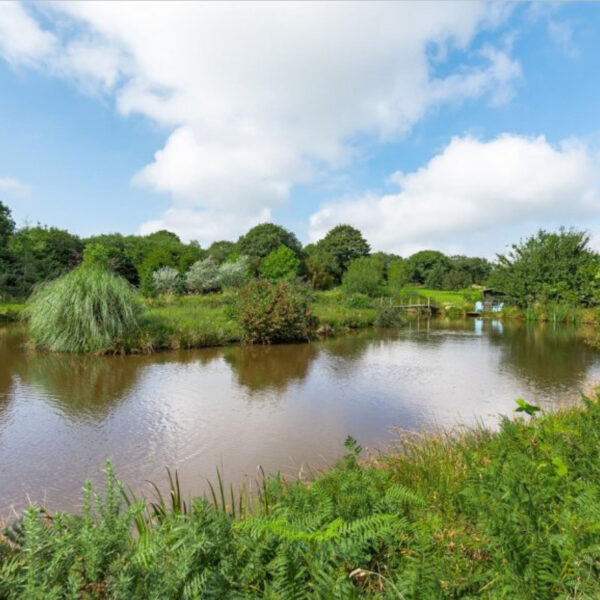 Barn Conversion, Land and Lake