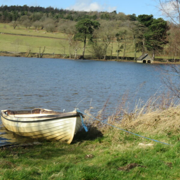 Cropston Angling trout and pike fishing at Leicestershire's Cropston Reservoir