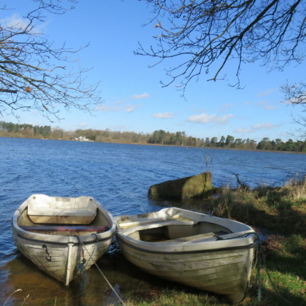 Cropston Angling trout and pike fishing at Leicestershire's Cropston Reservoir