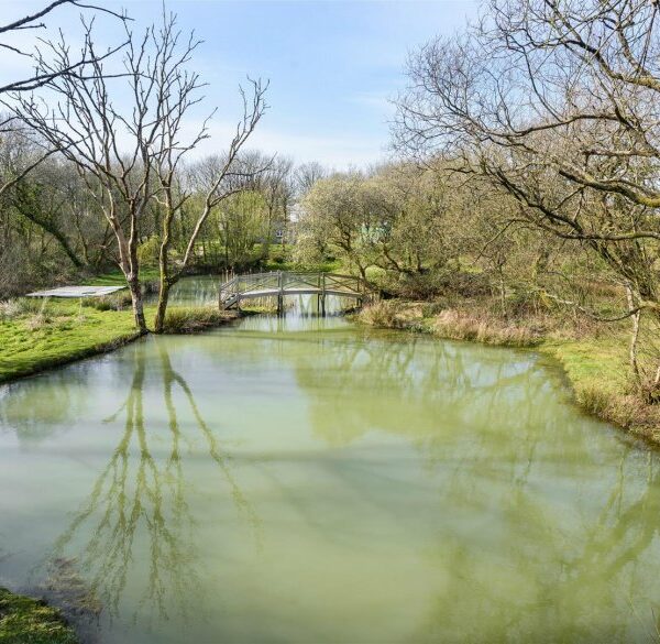 Fishing lake and property for sale in Bideford, Devon