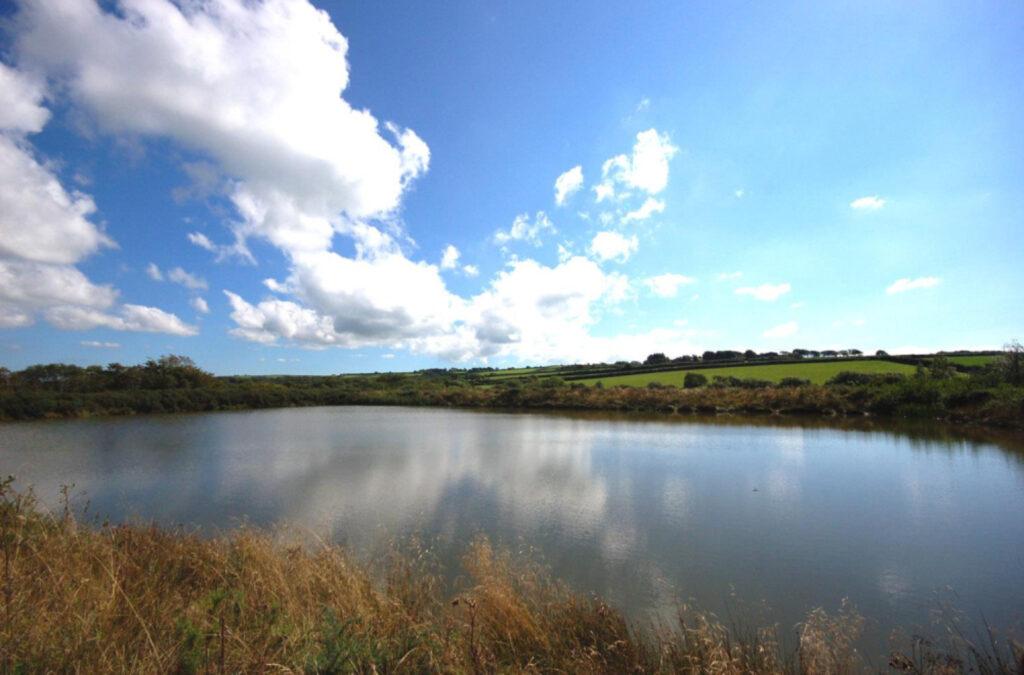 Forest Lakes, Bideford