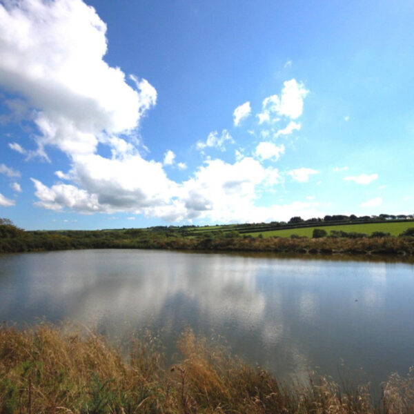 Forest Lakes, Bideford