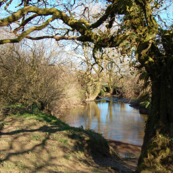 Building plot with fishing for sale in Bideford, Devon