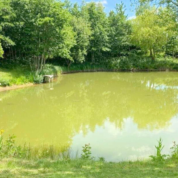 The fishing lake at Elton Barn Fishery and Retreat in Elton Nottinghamshire