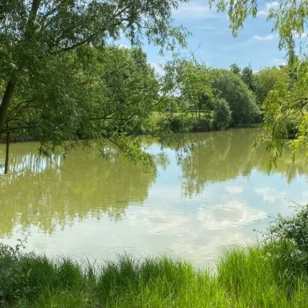The fishing lake at Elton Barn Fishery and Retreat in Elton Nottinghamshire