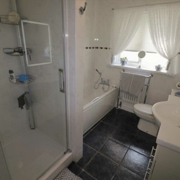 Nine Oaks Fishery for sale in west Wales