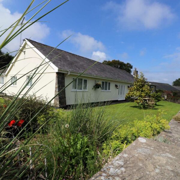 Nine Oaks Fishery for sale in west Wales