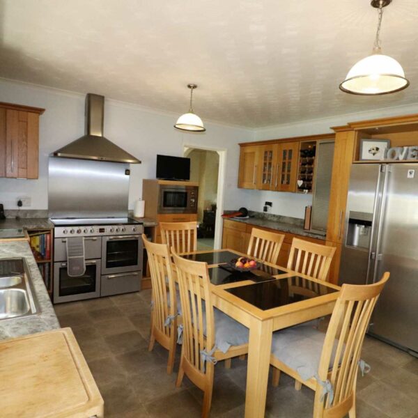 Nine Oaks Fishery for sale in west Wales