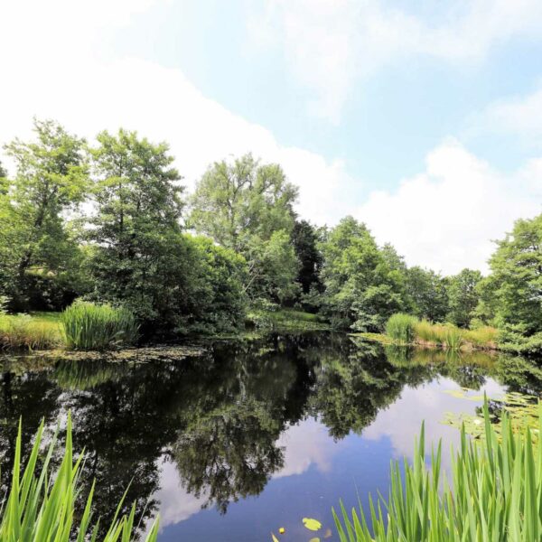 Nine Oaks Fishery for sale in west Wales