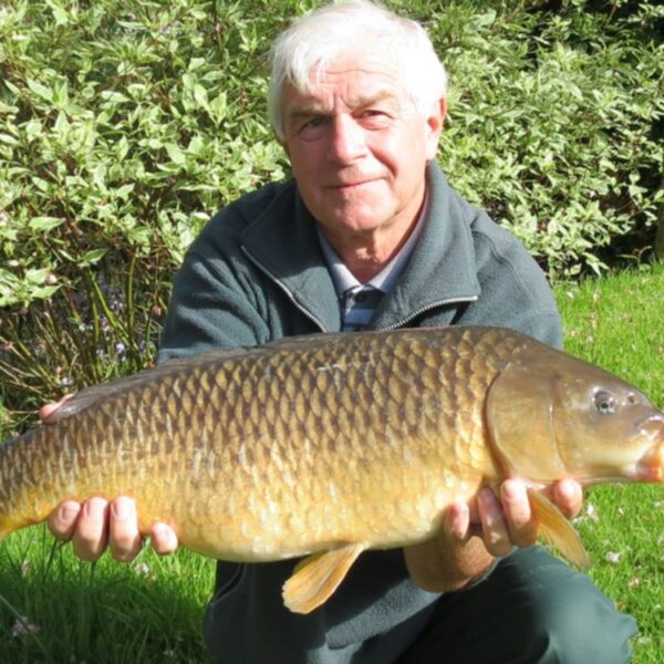 A nice carp from the lake at Malston Mill Farm and Holiday Cottages in Devon