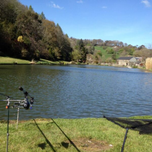 The lake at Malston Mill Farm and Holiday Cottages in Devon