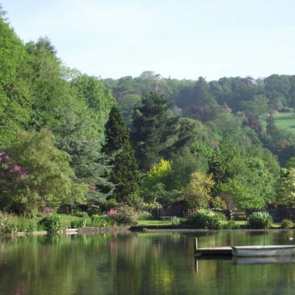 The lake at Malston Mill Farm and Holiday Cottages in Devon