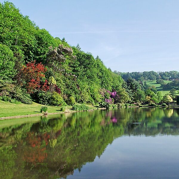 The lake at Malston Mill Farm and Holiday Cottages in Devon