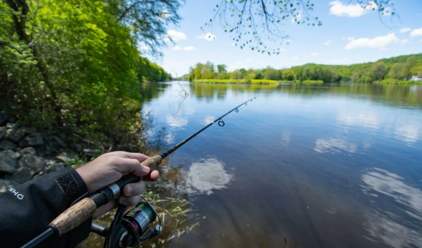 A guide to fishing licences in 2024