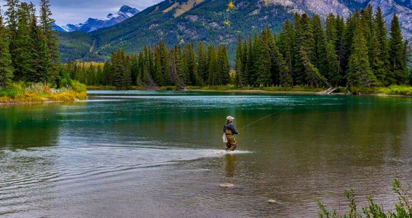 Go ‘wild’ in Canada – angling holidays with a difference