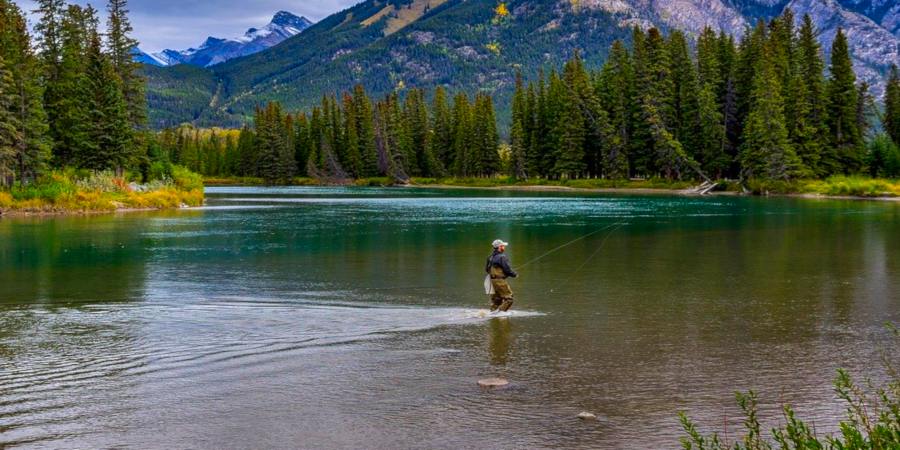 Go ‘wild’ in Canada – angling holidays with a difference