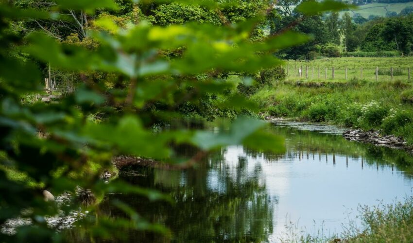 Love fishing & looking for work?