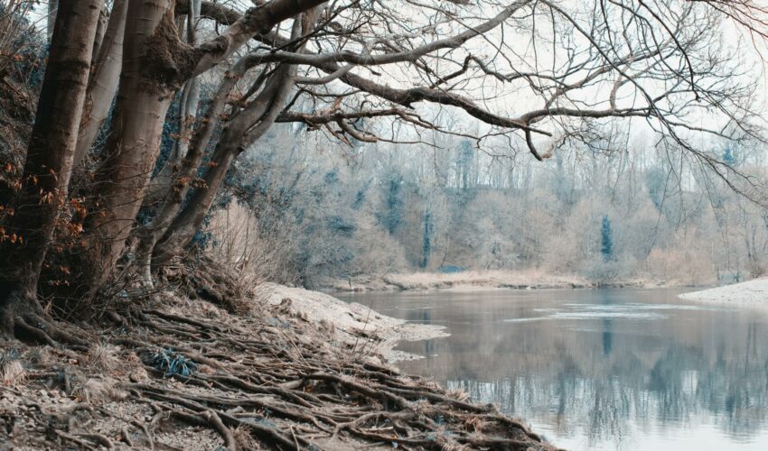Winter Fishing