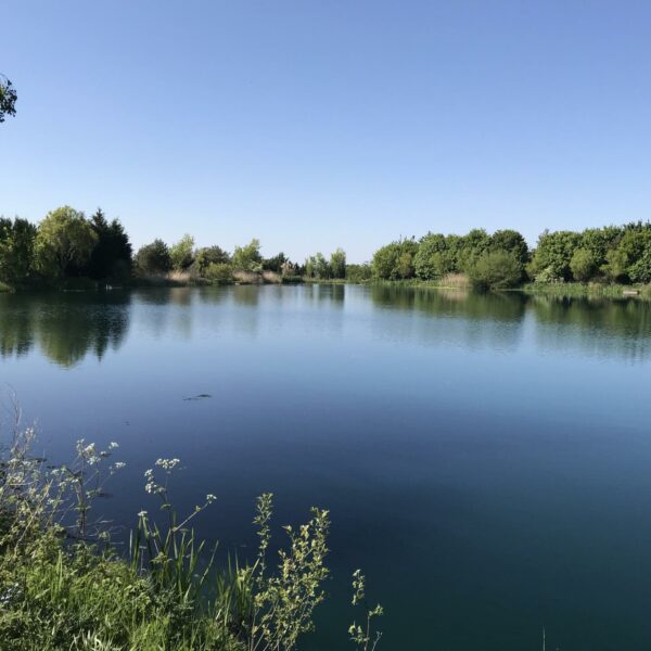 Matt Mole's Field Aston Reservoir near Newport in Shropshire