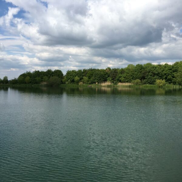 Matt Mole's Field Aston Reservoir near Newport in Shropshire
