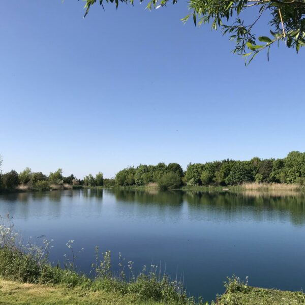 Matt Mole's Field Aston Reservoir near Newport in Shropshire