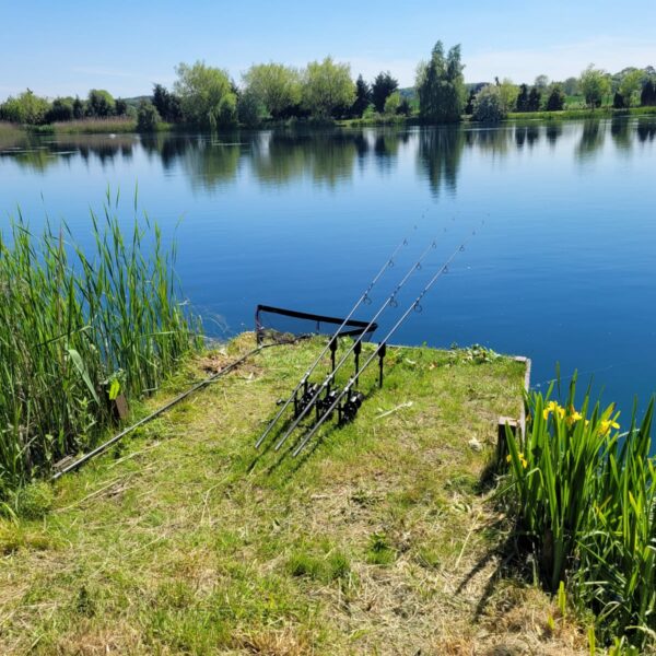 Matt Mole's Field Aston Reservoir near Newport in Shropshire