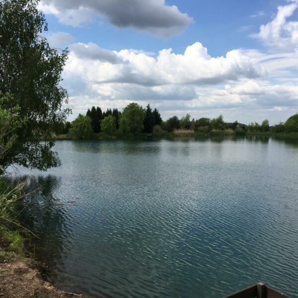 Matt Mole's Field Aston Reservoir near Newport in Shropshire