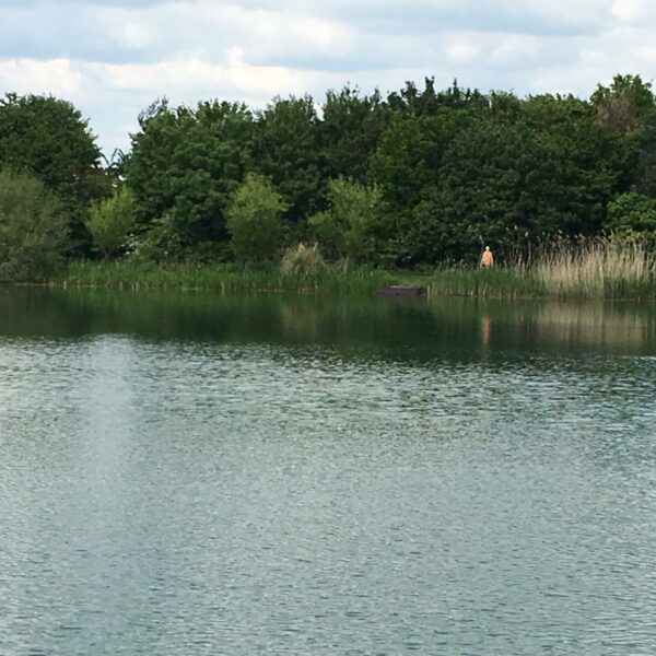 Matt Mole's Field Aston Reservoir near Newport in Shropshire