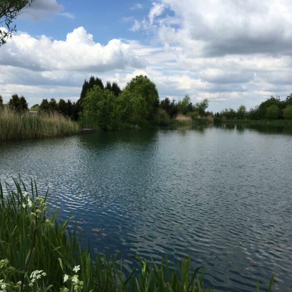 Matt Mole's Field Aston Reservoir near Newport in Shropshire