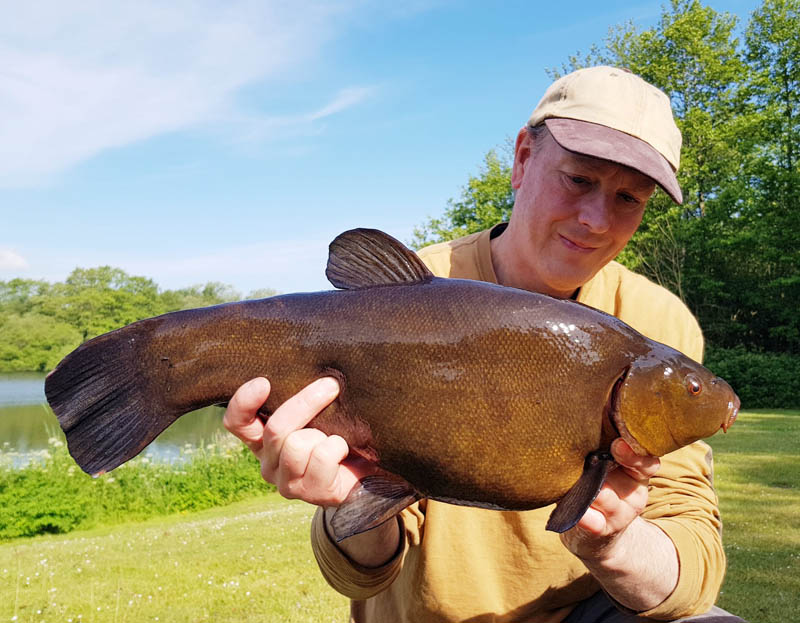 A beautiful spring tench