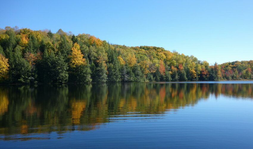 EU clean water laws shouldn’t be scrapped!