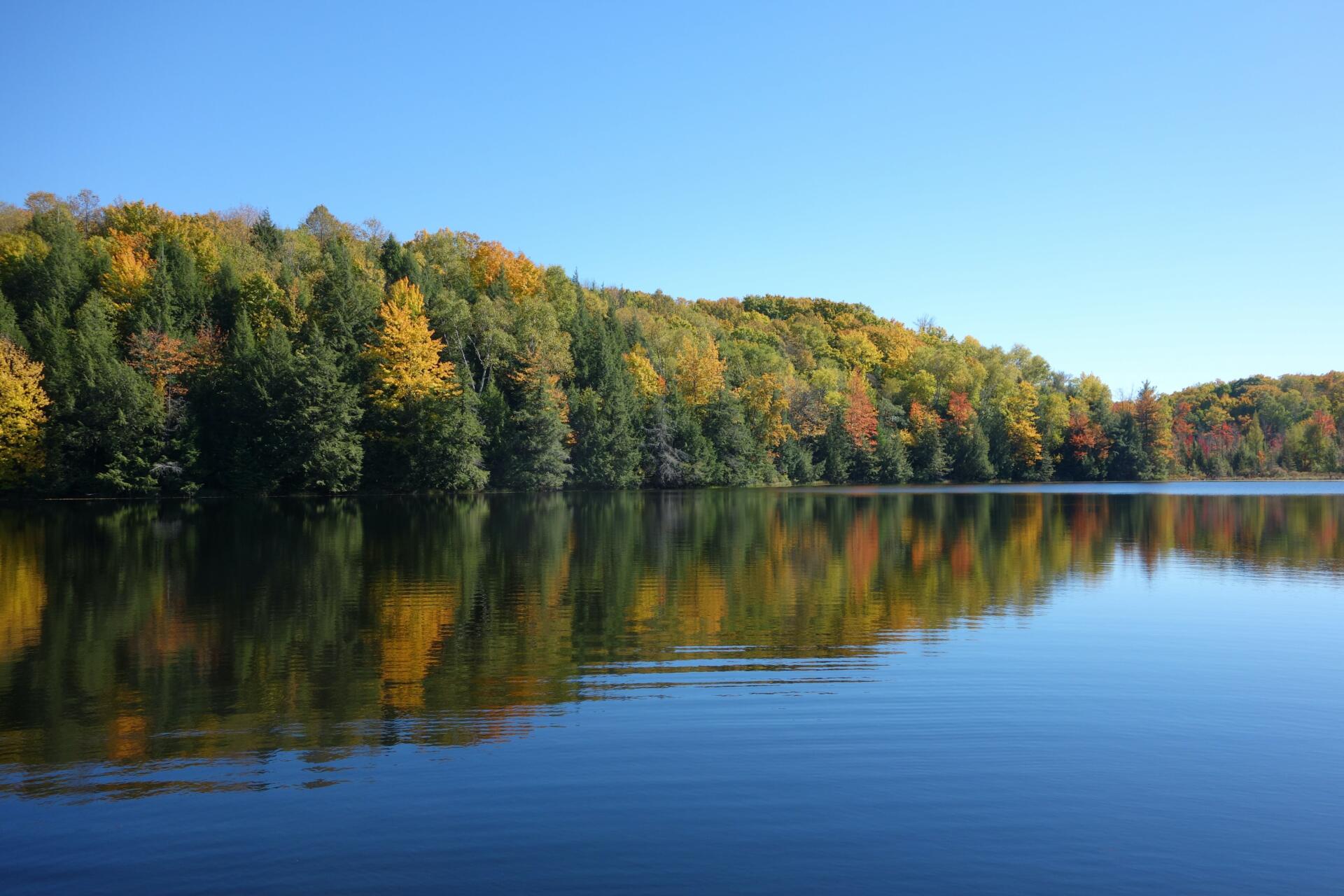EU clean water laws shouldn’t be scrapped!