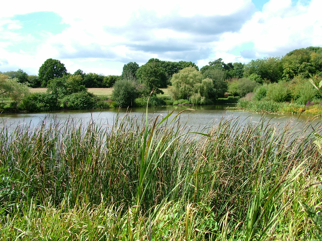 A guide to buying a fishery of your own