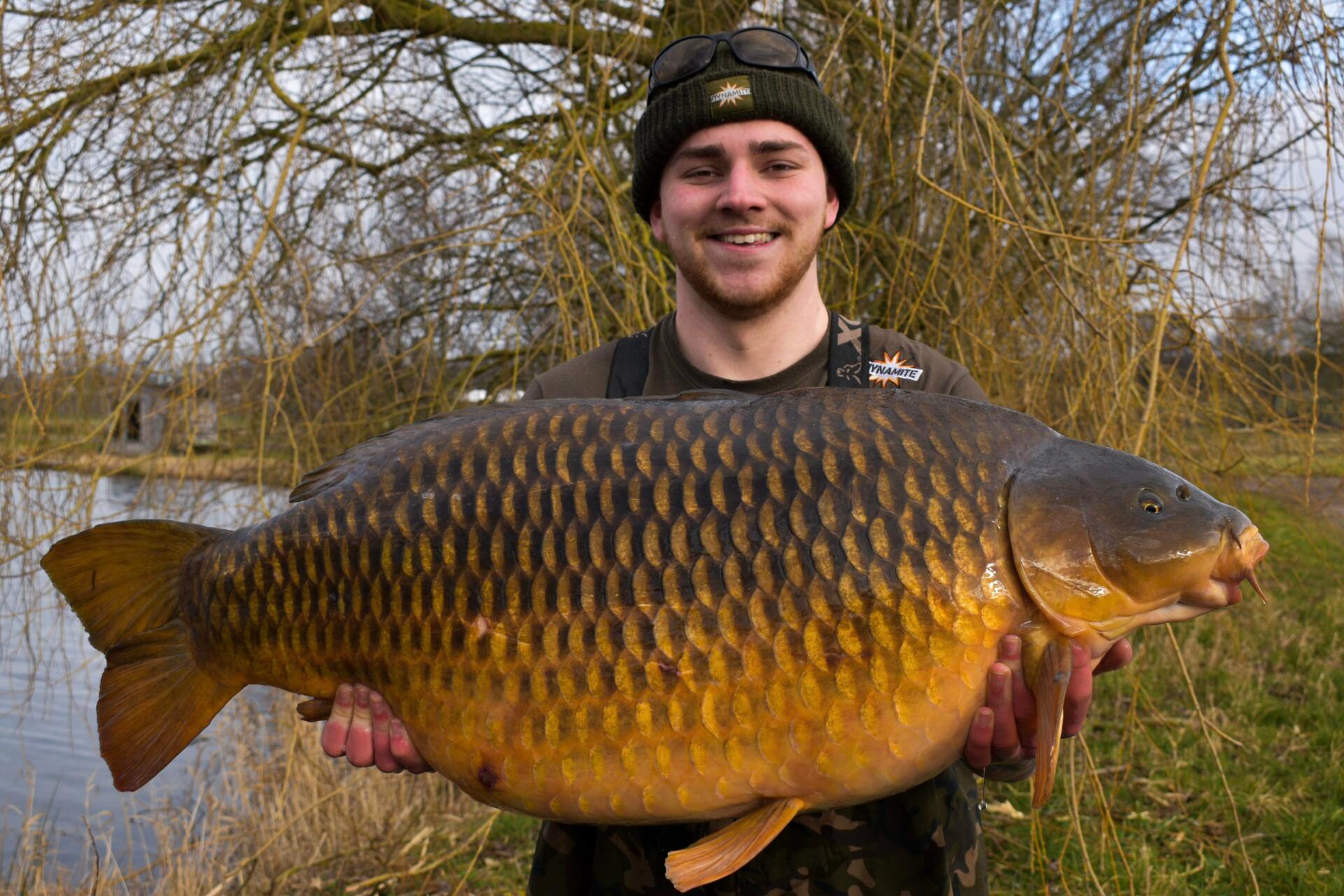 A 45lbs 8oz common carp from Staffordshire's Baden Hall Fishery