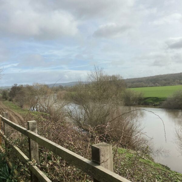 Middle Wye fishing rights for sale