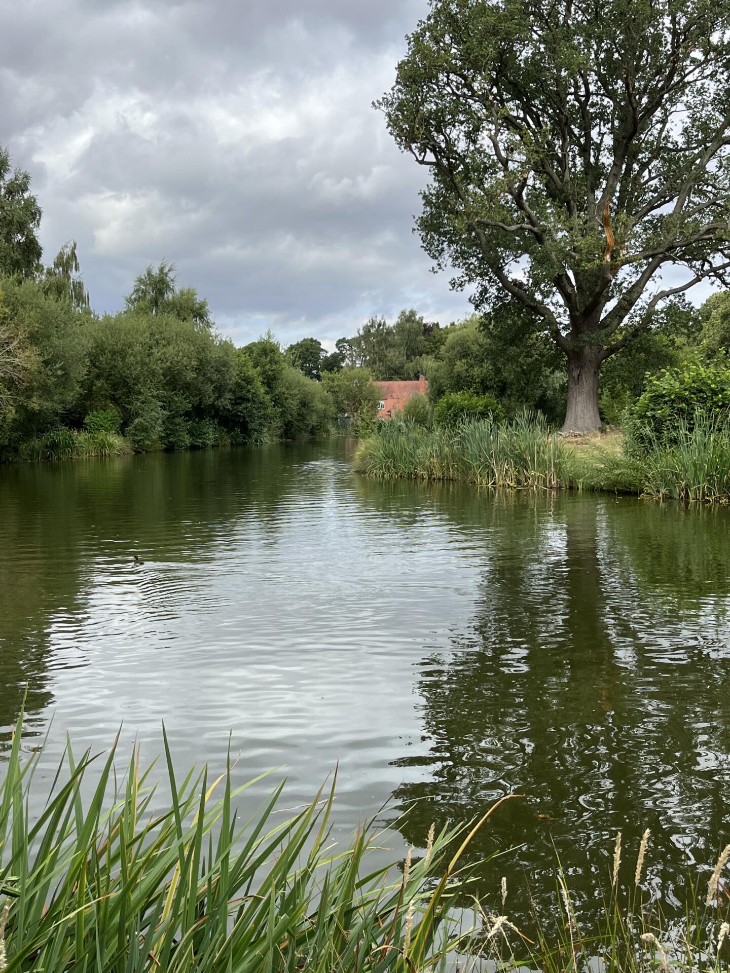 Some canals are wider and much more natural than the typical concrete urban waterways.