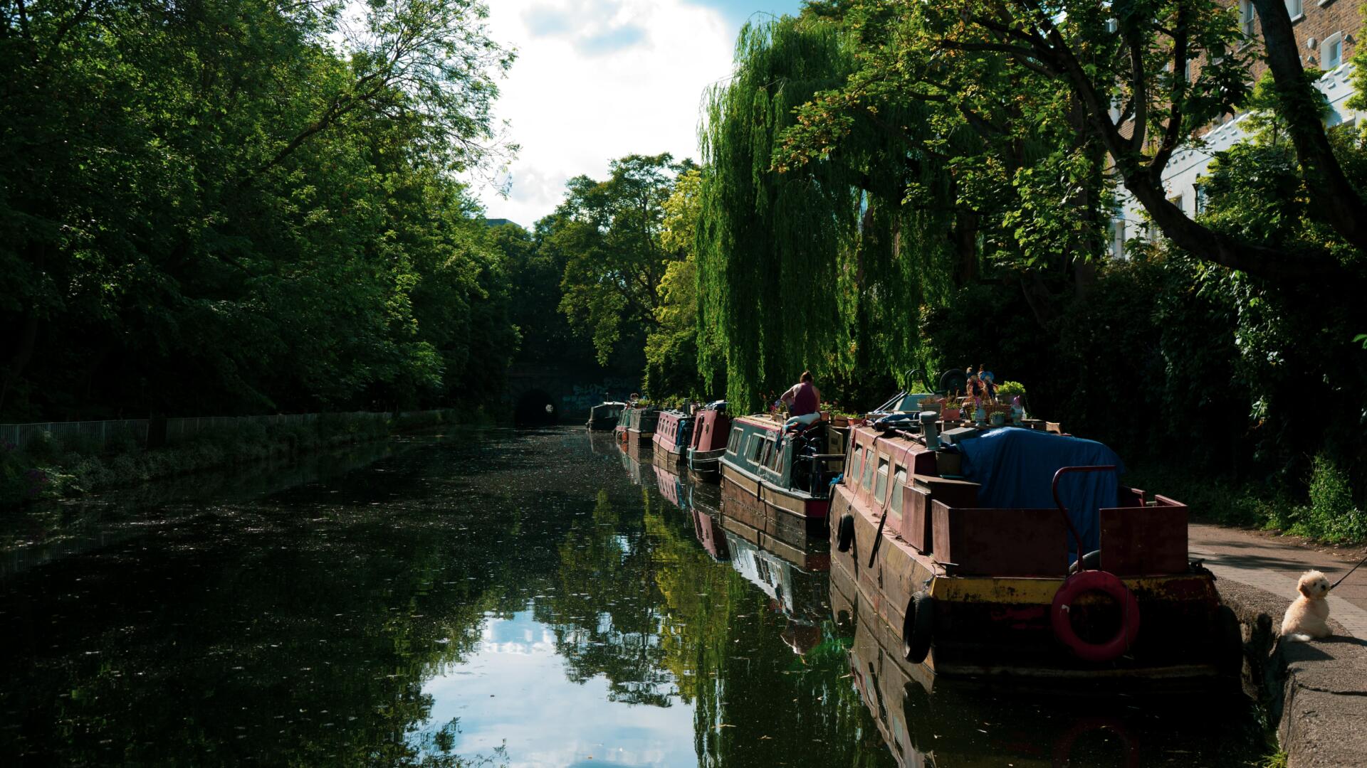 Some canals offer prolific fishing, with specimen carp, tench and bream.