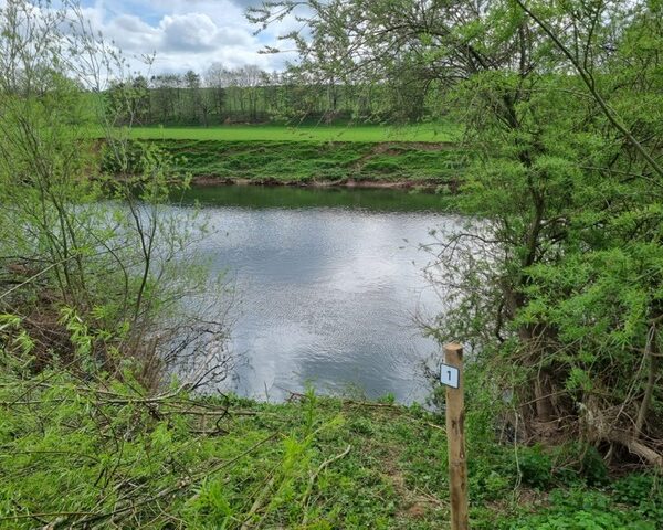 Middle Wye fishing rights for sale