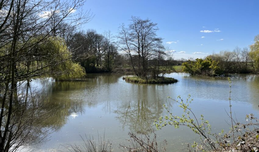 A guide to Lake Fishing