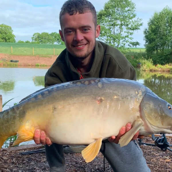 A nice specimen carp from Destan Pool exclusive carp fishery near Bridgnorth in Shropshire