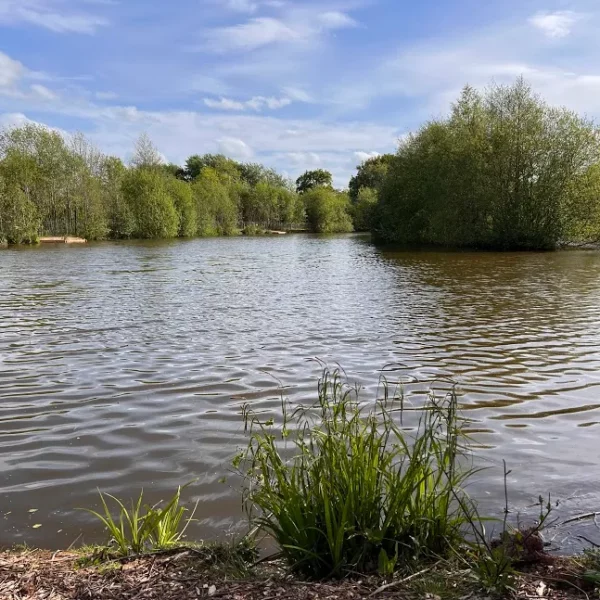 Destan Pool exclusive carp fishery near Bridgnorth in Shropshire
