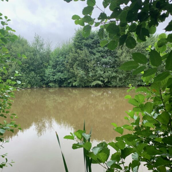 Destan Pool exclusive carp fishery near Bridgnorth in Shropshire