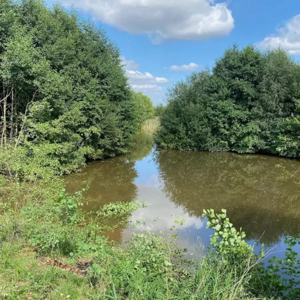 Destan Pool exclusive carp fishery near Bridgnorth in Shropshire